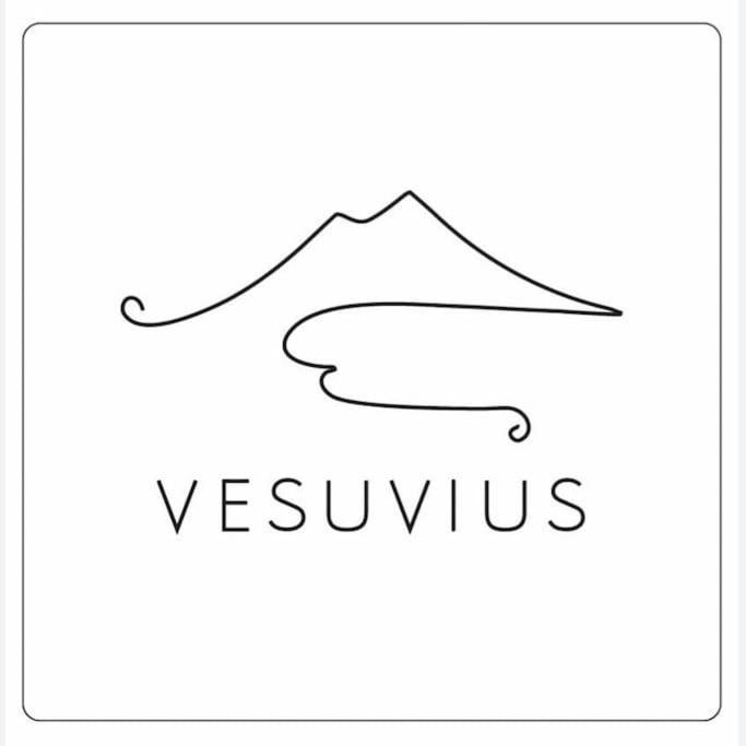 Vesuvius A Mezzocannone Apartment Наполи Екстериор снимка