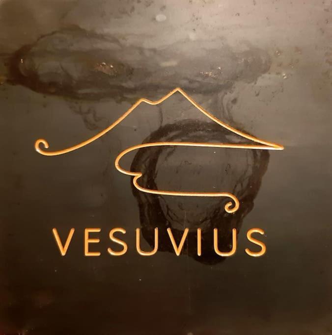 Vesuvius A Mezzocannone Apartment Наполи Екстериор снимка